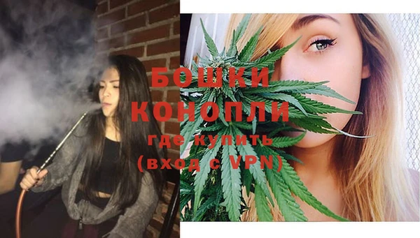 дживик Горняк