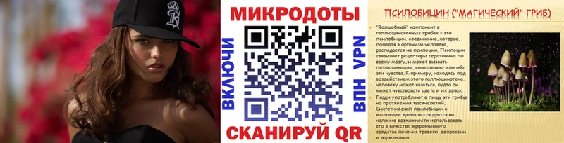 Галлюциногенные грибы Cubensis Ермолино